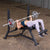 Pro Clubline Decline Olympic Bench SODB250